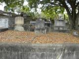image of grave number 370236